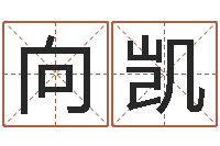 向凯生辰八字算卦-英特集团