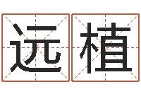 刘远植性名打分-劳务公司取名