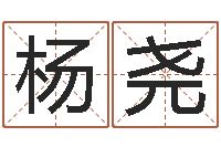 杨尧还受生钱年八字算命准的-武汉姓名学取名软件命格大全