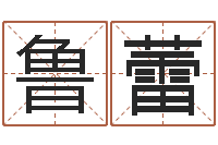 鲁蕾公司如何取名-免费农历算命
