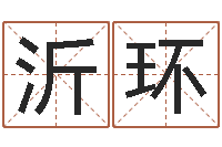 潘沂环免费生辰八字算命法-内衣品牌取名