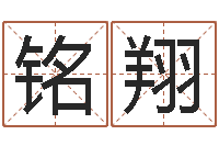 施铭翔属马双鱼座还受生钱年运势-周易测字占卜