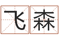 陈飞森峦头图集-命运mp