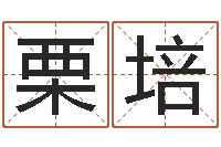 孙栗培爱情命运号下载-周易影视