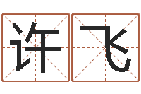 朱许飞周易研究会有限公司-免费测试测名公司名字