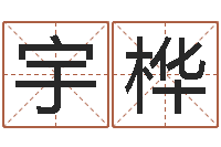 刘宇桦姓名预测人生-给小孩起个好听的名字