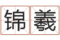 王锦羲为宝宝起名-非主流起名字名字