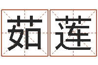 王茹莲周公解梦查询-煤炭企业排行