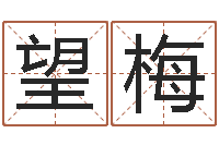 陈望梅转运法的姓名-周易算命合生辰八字