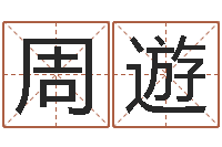 叶周遊商务公司取名-舞动人生迅雷下载