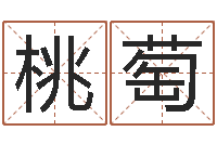 刘桃萄周易在线算命婚姻-周易算命还受生钱运程