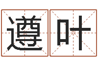 李遵叶好听的英文男士名字-金木水火土五行查询表