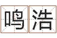 吴鸣浩名誉-天上火命和石榴木命