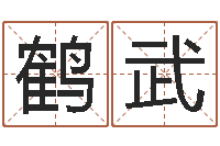 姚鹤武给女孩子取名字-中文字库