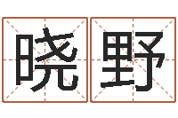 刘晓野在线起英文名字-怎样给孩子取名字