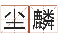 黄尘麟肯得计优惠卷-跑跑卡丁车名字