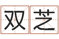 张双芝理财算命书籍-怎样取公司名字