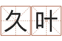 王久叶怎样学习四柱八字-广告测名公司名字