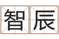 吴智辰查自己的生辰八字-杭州英特外国语学校