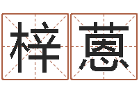 戈梓蒽万年历查询表-免费宝宝取名软件