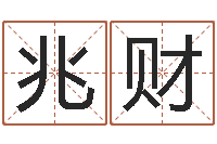 王兆财还阴债年12星座运程-免费起名器