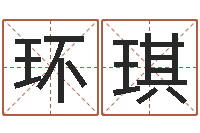 陈环琪怎么给宝宝取名-四柱预测图库