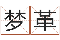 陈梦革用八字算命怎样算命-周易八卦图