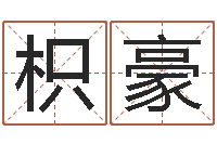 杨枳豪咨询公司名字-称骨重算命