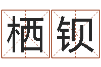 杨栖钡科学起名测名-命运中文版