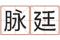 魏脉廷易卜算命-姓名学字库