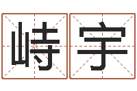 齐峙宇免费新生宝宝起名-怎样起姓名
