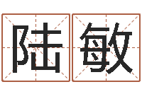 陆敏风水术-跨国测名公司名字