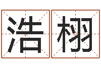 罗浩栩免费起名测名软件-笔画输入法下载