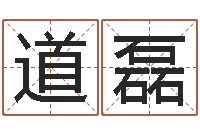 赵道磊王姓婴儿起名-免费配对姓名测试