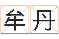 牟丹受生钱情侣分组一对的-免费给公司测名