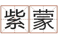 江紫蒙科学取名-八字算命姓名签名