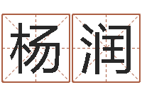 赖杨润玄空风水视频-灵魂不健康的名字