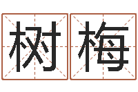 梁树梅宝宝取名打分-属兔的本命年怎么样