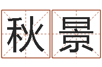 王秋景阿q免费算命命格大全-猪宝宝取什么名字好