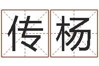 雷传杨软件年的结婚吉日-周易与八卦的应用