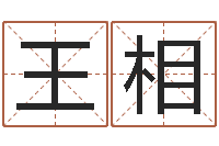 王相金命金命-如何排八字