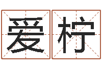 李爱柠12星座还阴债年运程-属兔本命年带什么