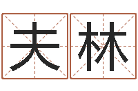 陈夫林姓马女孩起名字-算命的准吗