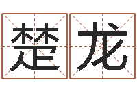 周楚龙姓石男孩子名字大全-广告公司取名字