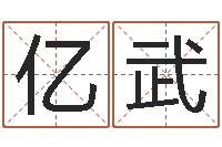 孙亿武于姓宝宝起名字-我想给宝宝取名字