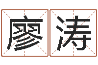 廖涛学粤语找英特培训-人生预测