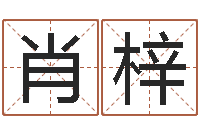 肖梓事业算命-四柱婚姻