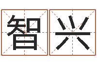 智兴放生范逸臣-免费算命姓名配对