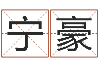 张宁豪免费宝宝起名字打分-生辰字在线算命