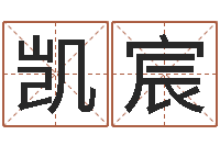 孙凯宸公司名字预测-还受生钱年在线算命免费